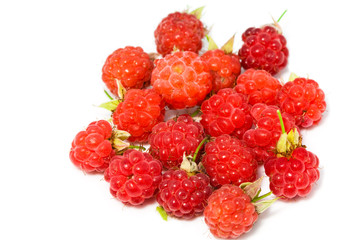 Ripe berries of raspberry on white background..