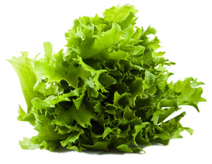 Fresh lettuce