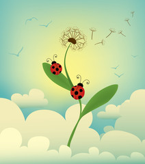 Obraz na płótnie Canvas two ladybird reaching the top of a dandelion among the clouds
