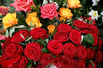 Rosen / Strauß