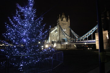 Fototapeta na wymiar Choinka na London Tower Bridge