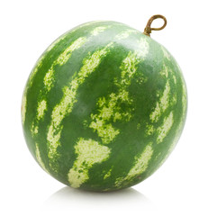 water melon