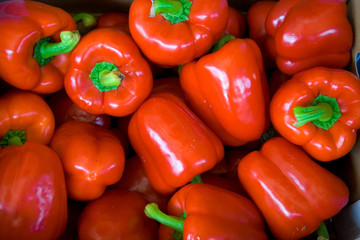 red paprica background