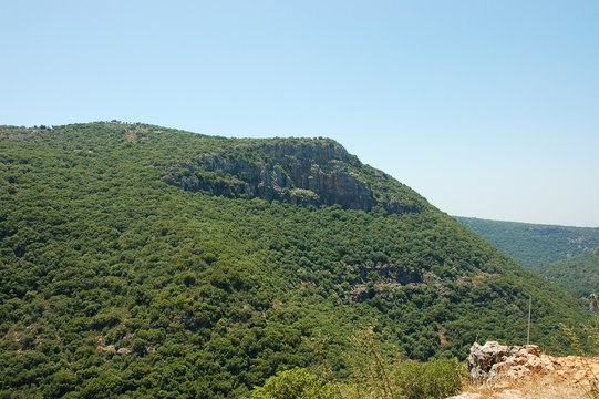 Upper Galilee landscape.