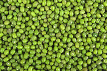 Green soy beans