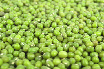 Fototapeta na wymiar Green soy beans