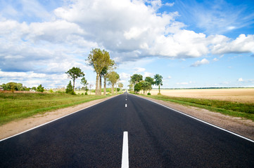 Asphalt road in green meadow