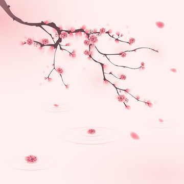oriental style painting, cherry blossom in spring