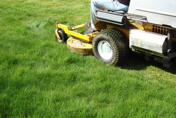 Obraz premium lawn mowing