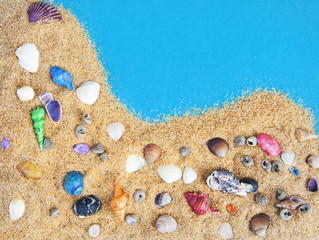 Fototapeta na wymiar Colorful Sea Shells on a Sand Bed