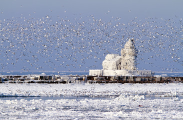Cleveland Harbor West Pierhead Lighthouse Covered in Ice - obrazy, fototapety, plakaty