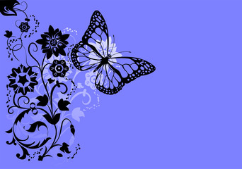 butterfly background