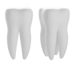 3d tooth
