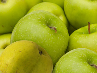 Fruit  apples  green