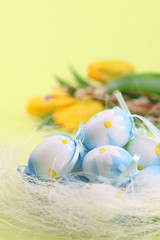 Blue Easter eggs and tulips