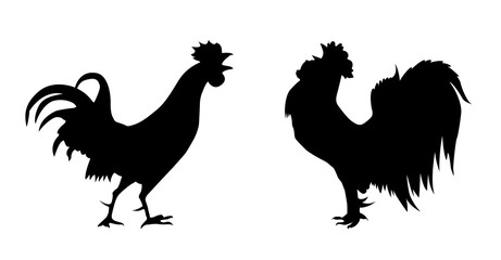vector silhouette of the cock on white background - obrazy, fototapety, plakaty