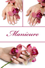collage.Beautiful hand with perfect manicure and purple orchid f
