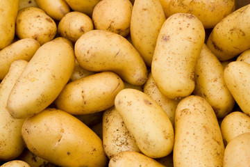 Patatas