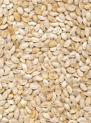 seeds of pumpkin