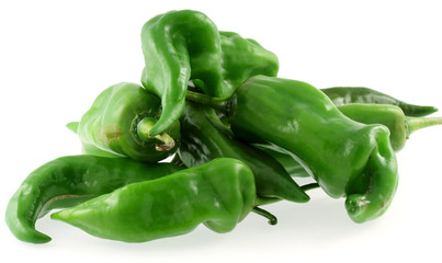 Capsicum annum ou gros piment