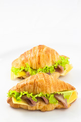 Ham and cheese sandwich