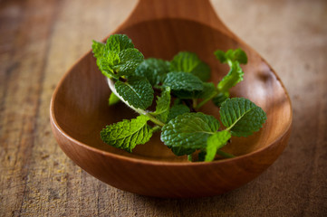 Mint on wooden spoon