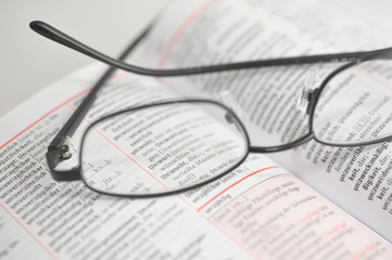 Unwort des Jahres im W&ouml;rterbuch mit Brille