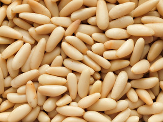 Pine Nuts Close Up