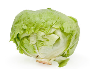 Cabbage lettuce isolated