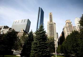 Fototapeta premium Chicago Cityscape
