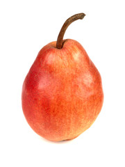 Red William Pears
