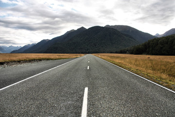 New Zealand - road in Eglington Valley