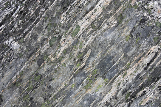 Gneiss rock in New Zealand