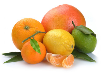 set of citrus  fruits