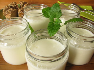 Joghurt aus dem Joghurtbereiter