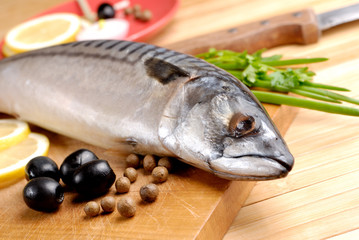 Mackerel