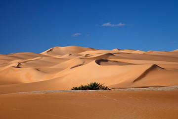 desert dunes