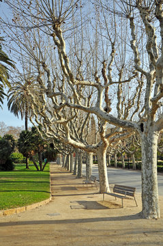 Park in Barcelona