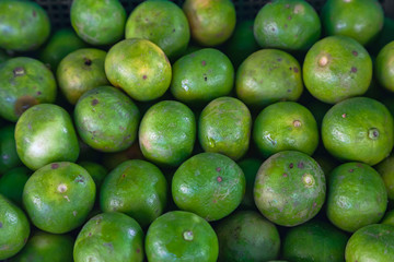 Fresh lime fruits