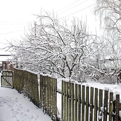 old fence in winter garden