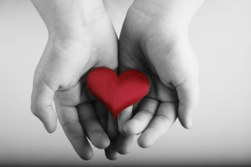Fototapeta premium Heart in children's hands