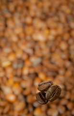 CoffeeThree coffee grains on a dim background of coffee