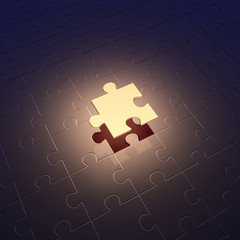 Conception of leadership. Puzzle