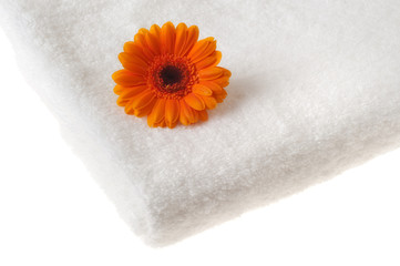 Fototapeta na wymiar Towel and Flower Over White