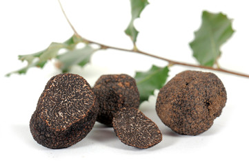 Truffes et feuilllage