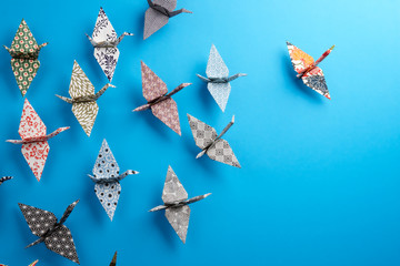 Group Of Origami Birds - obrazy, fototapety, plakaty