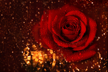 rose of love © whiteflower