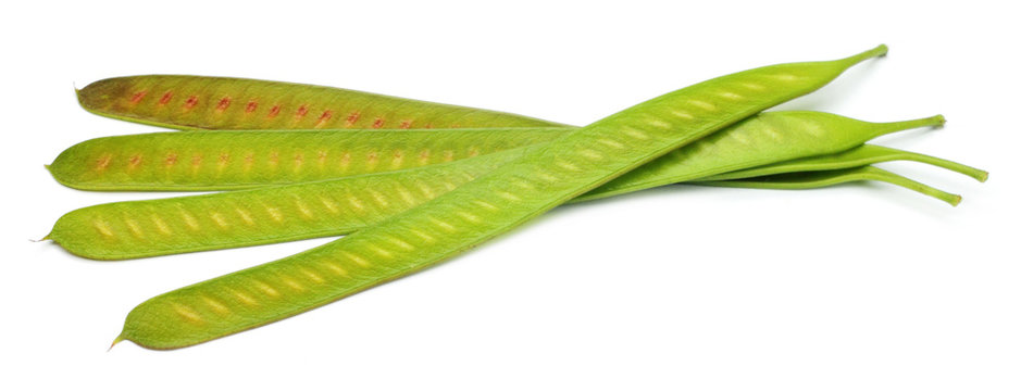 Leucaena leucocephala or ipil ipil bean