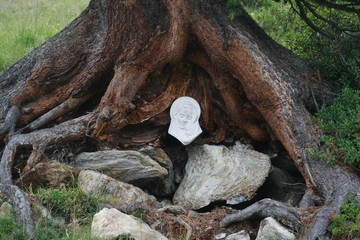 Muttergottes im Baum