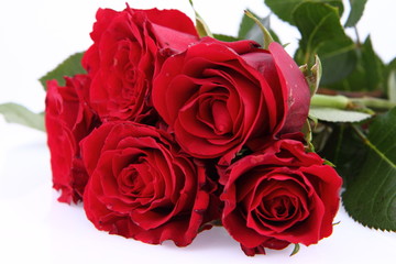 Bouquet of red roses on white background